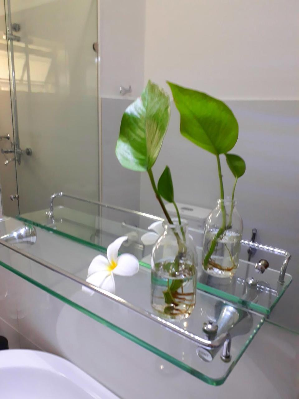 "27" Spathodea- Oasis In The City Colombo Kültér fotó