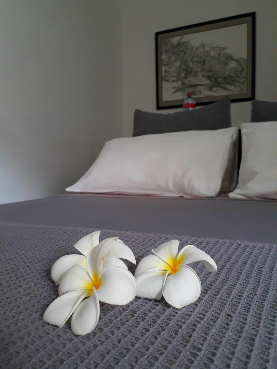 "27" Spathodea- Oasis In The City Colombo Kültér fotó